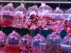 -华声天桥民俗文化园