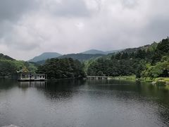 -庐山风景区花径公园