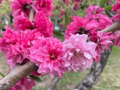 -朝阳公园