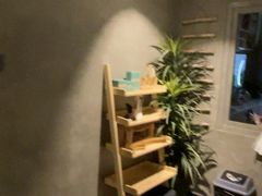 -施奈儿.洗头頭療.按摩SPA.采耳(上梅林店)