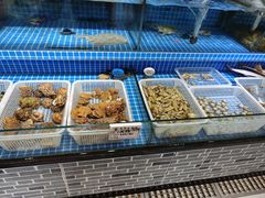 -春来酒家