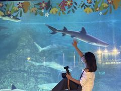 -烟台海昌鲸鲨海洋公园