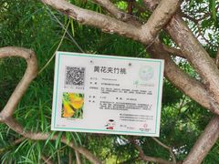 -南国桃园旅游度假区