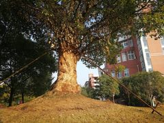 -中国计量大学(西校区)