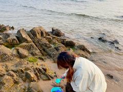 -巧克力渔家.小船海鲜胶东菜(万平口店)