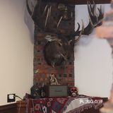 ✨深圳新店｜美式复古风咖啡馆☕️