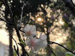 -小南山公园