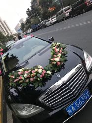 -蚂蚁婚车