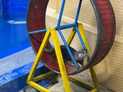 -太平洋海底世界