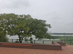 -金银湖国家城市湿地公园