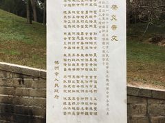 -炎帝陵景区