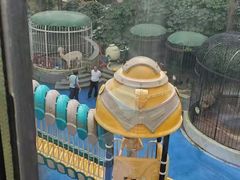 -上海崇明金茂凯悦酒店