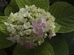 -北京石刻艺术博物馆(五塔寺)