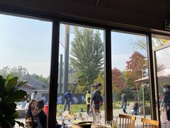 -The Rug Cafe(王府中环店)