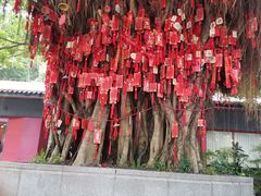 -凤凰山公园-龙王古庙