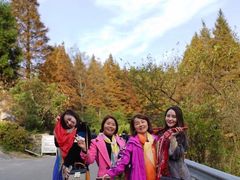 -山王坪喀斯特国家生态公园