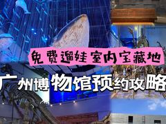-广东省博物馆