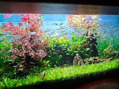 -太平洋海底世界