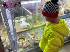 -花鸟鱼虫鲜花绿植市场(玉泉路店)