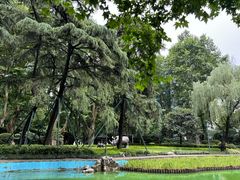 -静安公园(静安寺街道)