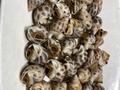 白灼花螺-高佳庄·舟山海鲜(海景旗舰店)