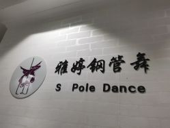 -柯宏＆雅婷塑形钢管舞蹈