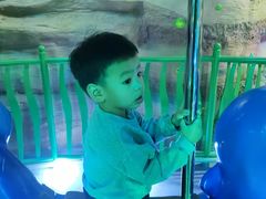 -青岛嘉年华主题乐园