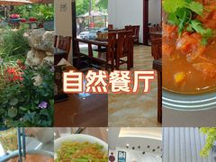 -丽泽山庄·生态怀柔菜·虹鳟鱼(红螺寺店)