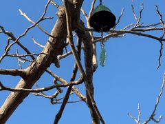 -糖房咖啡(南锣鼓巷店)