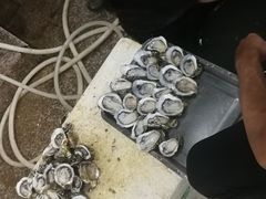 -蚝哥花姐湛江烤生蚝(美丽湾市场店)