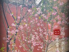 -乌山风景区