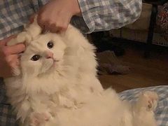 -92°C俄式厨房(中央大街店)