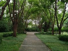 -玲珑塔公园