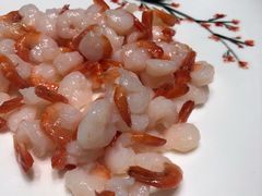 -蝶园·装修中(BFC外滩金融中心店)