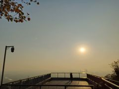 -紫金山山顶公园