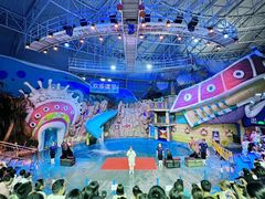 -烟台海昌鲸鲨海洋公园
