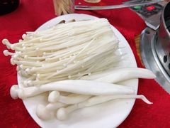 -花苑美食横琴生蚝火锅(拱北粤华路店)