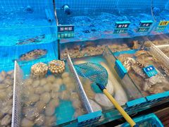 -启东小海鲜(庄先湾路1号店)