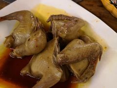 -百利鸽王(紫薇路店)
