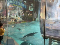 -帝企鹅自助餐厅•儿童岛•真企鹅(长隆企鹅酒店)