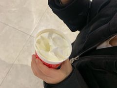 香草暴风雪-DQ·蛋糕·冰淇淋(西城红场店)