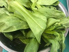 蓬蒿菜-月圆火锅(宁海东路二店)
