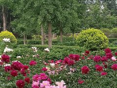 -燕郊植物园