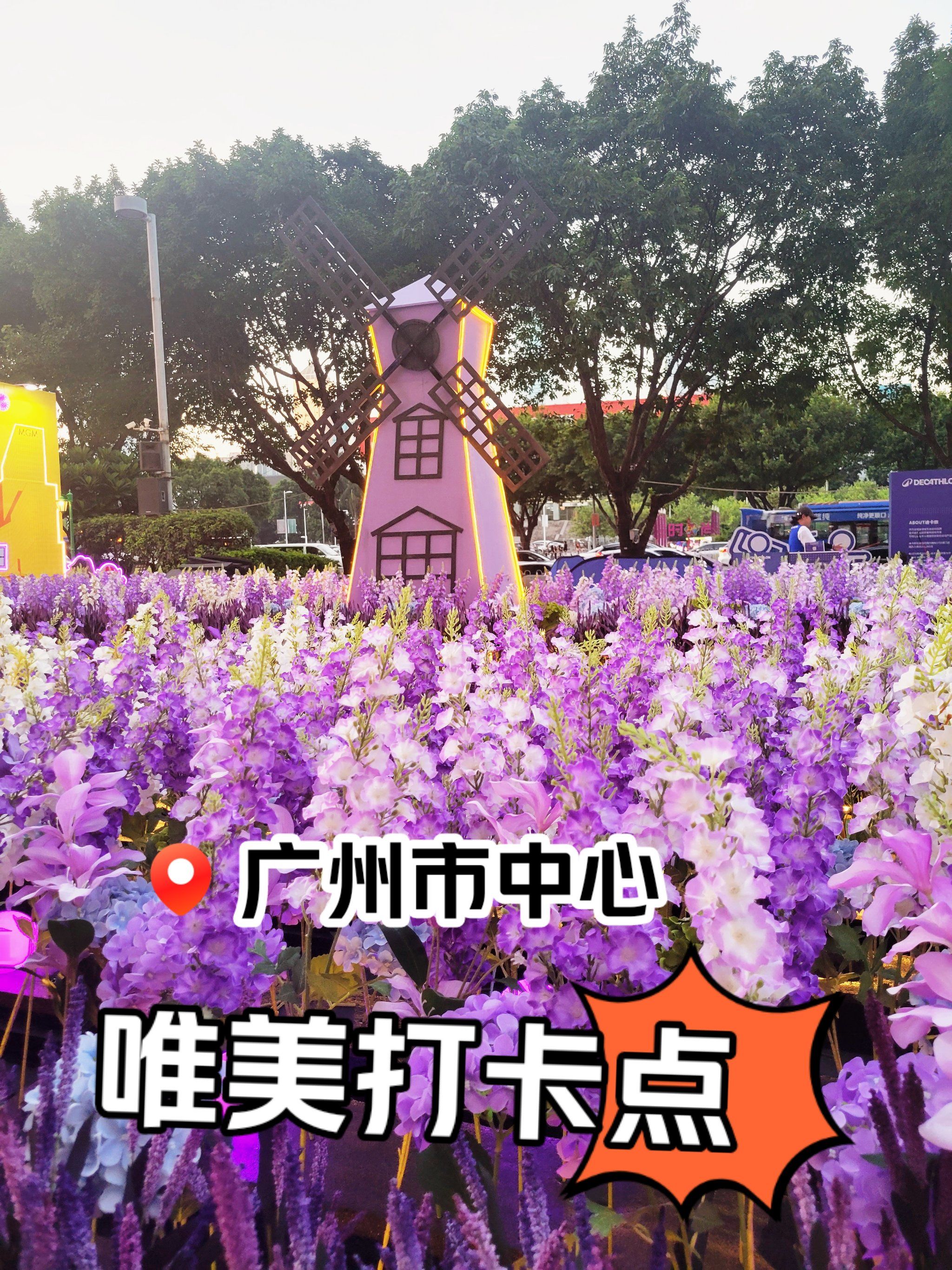 广州!唯美梦幻薰衣草打卡推荐!