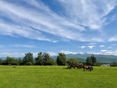 -新疆那拉提国家旅游度假区
