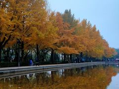 -玲珑塔公园