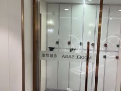 -MODEL SAGA名媛世家