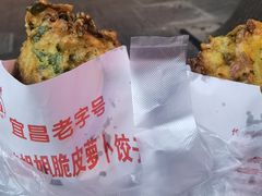 -半月镰胡姐脆皮萝卜饺子