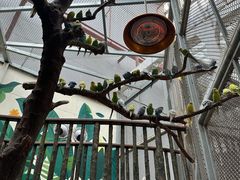 -正佳雨林生态植物园
