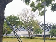 -华润深圳湾体育中心-“春茧” 体育馆